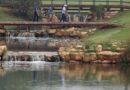 Au Portugal, les golfs Dom Pedro travaillent à réduire leur empreinte environnementale